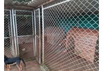 Fincas y Casas Campestres, Venta, Dagua - $850.000.000