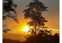 Fincas y Casas Campestres, Venta, Dagua - $850.000.000