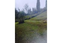 Fincas y Casas Campestres, Venta, Dagua - $850.000.000