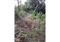 Fincas y Casas Campestres, Venta, Dagua - $520.000.000