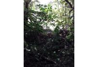 Fincas y Casas Campestres, Venta, Dagua - $520.000.000