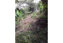 Fincas y Casas Campestres, Venta, Dagua - $520.000.000