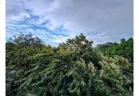 Apartamentos, Alquiler, Bellavista - $3.000.000