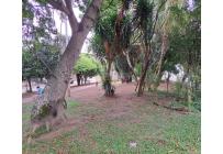 Apartamentos, Venta, El Bosque - $370.000.000