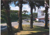 Casas, Venta, Ciudad Jardín - $2.671.084.698