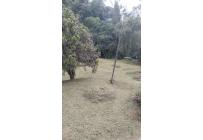 Fincas y Casas Campestres, Venta, Dagua - $380.000.000