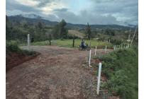 Fincas y Casas Campestres, Venta, Dagua - $120.000.000