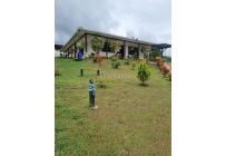 Fincas y Casas Campestres, Venta, Dagua - $530.000.000