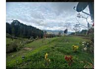 Fincas y Casas Campestres, Venta, Dagua - $490.000.000