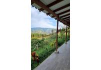 Fincas y Casas Campestres, Venta, Dagua - $490.000.000