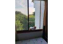 Apartamentos, Venta, Las Quintas de Don Simón - $310.000.000