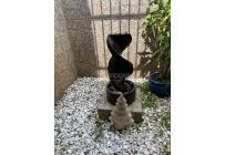 Casas, Venta, El Castillo - $550.000.000