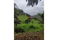 Fincas y Casas Campestres, Venta, Dagua - $490.000.000