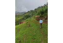 Fincas y Casas Campestres, Venta, Dagua - $490.000.000