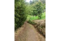 Fincas y Casas Campestres, Venta, Dagua - $490.000.000