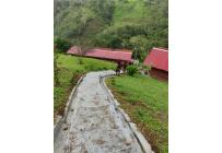 Fincas y Casas Campestres, Venta, Dagua - $490.000.000