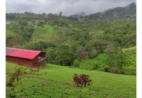 Fincas y Casas Campestres, Venta, Dagua - $490.000.000