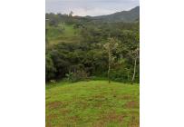 Fincas y Casas Campestres, Venta, Dagua - $490.000.000