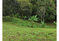 Fincas y Casas Campestres, Venta, Dagua - $490.000.000