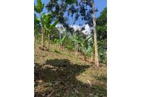 Fincas y Casas Campestres, Venta, Dagua - $490.000.000