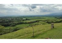 Lotes, Venta, Palmira - $450.000.000