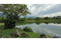 Lotes, Venta, Palmira - $450.000.000