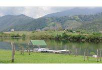Lotes, Venta, Palmira - $450.000.000