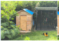 Fincas y Casas Campestres, Venta, La Castilla - $3.369.000.000