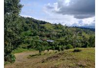 Fincas y Casas Campestres, Venta, Dagua - $300.000.000