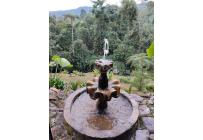 Fincas y Casas Campestres, Venta, Dagua - $350.000.000