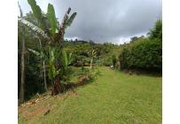 Fincas y Casas Campestres, Venta, Dagua - $350.000.000
