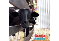 Casas, Venta, Cartagena - $16.900.000.000