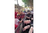 Casas, Venta, Cartagena - $16.900.000.000