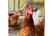 Casas, Venta, Cartagena - $16.900.000.000