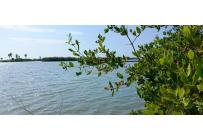 Lotes, Venta, Cartagena - $3.500.000.000