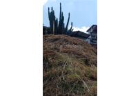 Lotes, Venta, San Antonio - $370.000.000