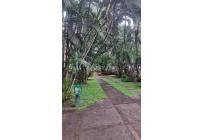 Apartamentos, Alquiler, Camino Real - $1.950.000