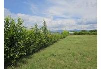 Lotes, Venta, Palmira - $1.152.000.000