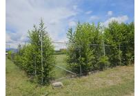 Lotes, Venta, Palmira - $1.152.000.000