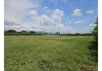 Lotes, Venta, Palmira - $345.000.000