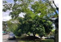 Casas, Venta, Caney - $700.000.000