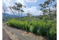 Lotes, Venta, Pance - $1.400.000.000