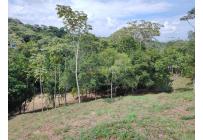 Lotes, Venta, Pance - $1.400.000.000