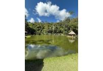 Apartamentos, Alquiler, Rionegro - $12.000.000