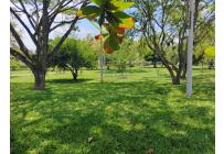 Apartamentos, Venta, Ciudad Pacifica - $224.999.000