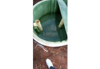 Lotes, Venta, La Buitrera - $350.000.000