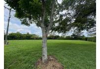 Lotes, Venta, Pance - $1.350.000.000