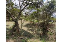 Lotes, Venta, Yumbo - $575.000.000