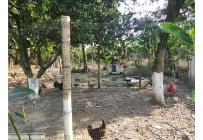 Lotes, Venta, Candelaria - $980.000.000