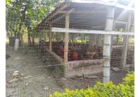 Lotes, Venta, Candelaria - $980.000.000